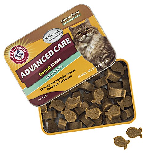 Arm & Hammer Advanced Care Dental Mints For Cats Fresh Cat Breath