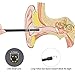 Visual Endoscope,Ear Endoscope Only for Android PC Video Scope Waterproof USB Andriod Ear Otoscope Clean Inspection Camera Ear Pick Otoscope OTG UVC-4.5FT