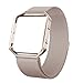 Fitbit Blaze Bands with Frame Metal Small Large ( 5