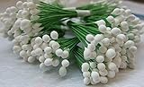 thaigood4you 300 White Stamen Pollen Flower Craft Artificial Scrapbook Floral Round Wire Stem Card