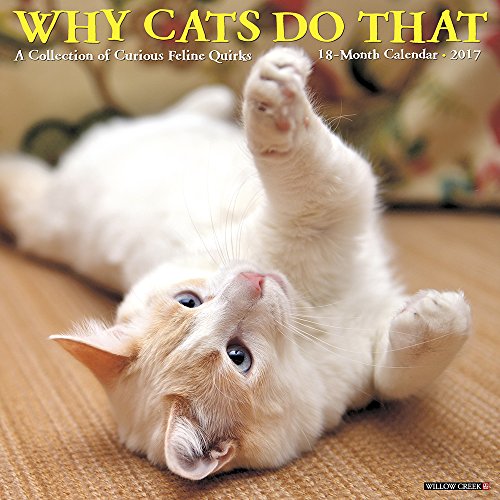 Why Cats Do That 2017 Wall Calendar