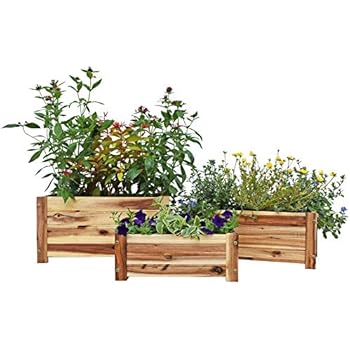 Amazon.com : Acacia Wood Rectangle Planter Set of 3 