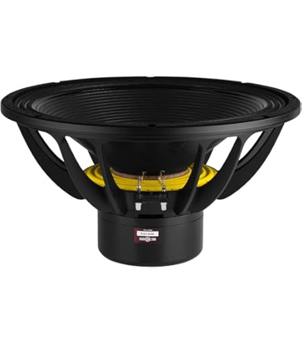 Amazon.com: B&C Speakers 18TBX100-8 Very High Power Capacity 18-in