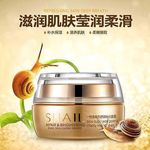 one spring snail cream