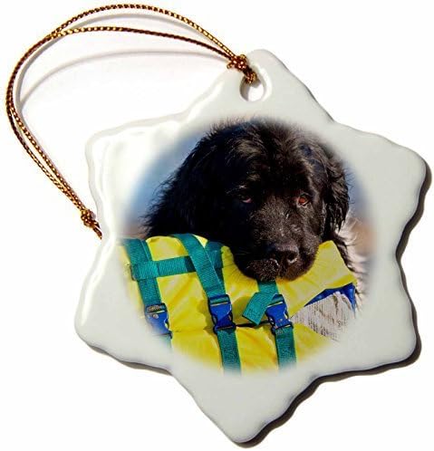 newfoundland life jacket