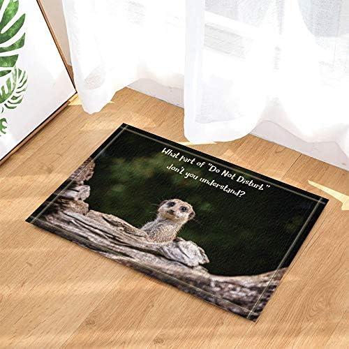 HTSJYJYT Safari Wil Animals Suricatta Decor Funny Meerkat Meme on Wood Bath Rugs Non-Slip Doormat Floor Entryways Indoor Front Door Mat Kids Bath Mat 60X40CM Bathroom Accessories