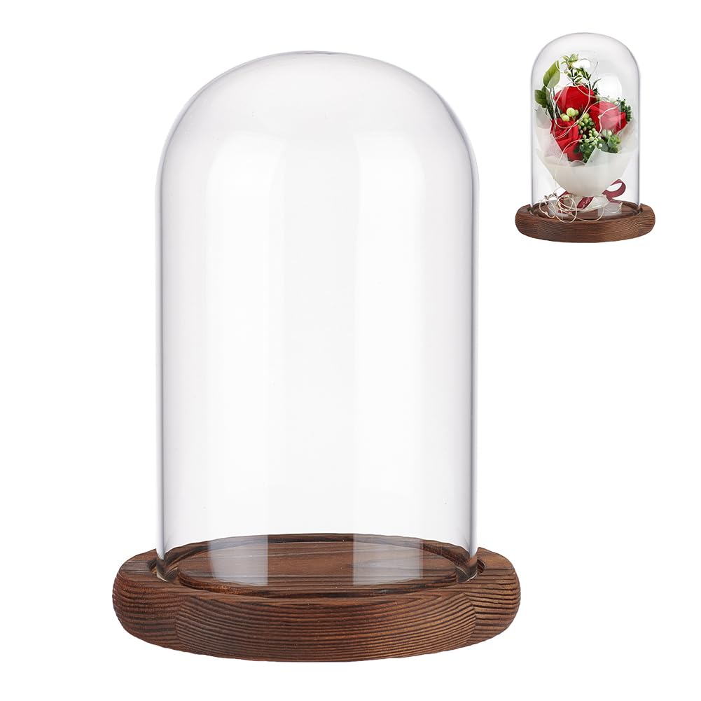 NBEADS Eternal Flower Glass Display Dome Cloche, 11.3x16.3cm Glass Display with Coconut Brown Wood Pedestal Bell Jar Cloche for Valentine's Day Mother's Day Flower Decorations Crafts