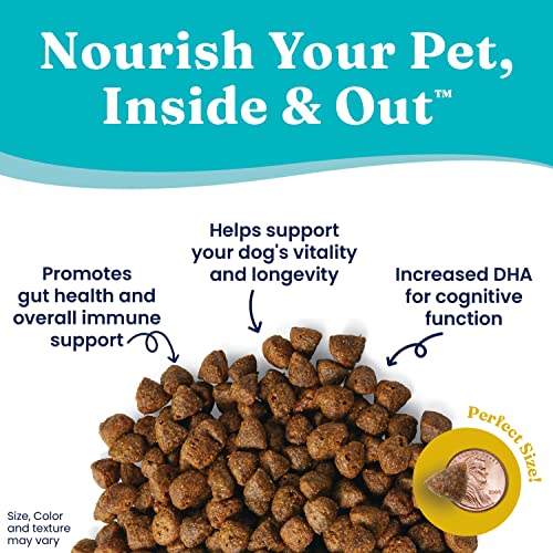 Solid Gold Young at Heart Senior Dog Food with Real Chicken Grain