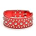 Pet Kingdom 18-24'' Leather Studded Large Dog Collar 4 Colors 3 Size Pet Collar (Red, Medium)