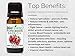 BioFinest Pomegranate Seed Organic Oil - 100% Pure Cold-Pressed - Premium Quality - Best Moisturizer For Hair, Face & Skin - Rich in Antioxidant/Vitamin - FREE E-Book (10ml)