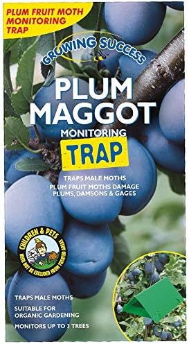 Growing Success Plum Maggot Monitoring Trap