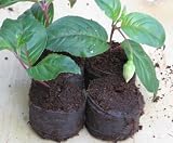 Fortego Coir Pellets Starter x100 – Peat Free Seed & Cutting Medium view 5