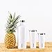 Corkcicle Canteen Classic Collection-Water Bottle & Thermos-Triple Insulated Shatterproof Stainless Steel, 25 oz, Matte Grey