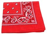 Red Paisley Bandanna