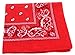Red Paisley Bandanna