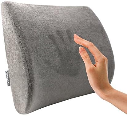 Memory Foam Lumbar Cushion, Lumbar Support for Office Chair/Car, Relieve Ergonomically Desgined for Back Pain, Sitting Posture Corrector (Oversize)
