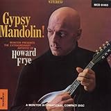 GYPSY MANDOLIN:THE EXTRAORDINARY ARTISTRY          image