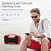 AOMAIS GO Bluetooth Speakers,Waterproof Portable Indoor/Outdoor 30W Wireless Stereo Pairing Booming Bass Speaker,30-Hour Playtime with 8800mAh Power Bank,Durable for Home Party,Camping(Red)