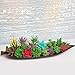 UNQUER 18 Pack Artificial Succulent Flocking Plants - Unpotted Faux Flocked Succulent Assortment Create Realistic Succulent Arrangements Fake Potted Succulent Décor Different Size Lotus Garden DYI