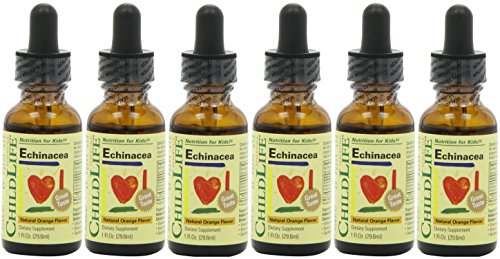 Child Life Echinacea, Glass Bottle, 1-ounce (6 Pack)