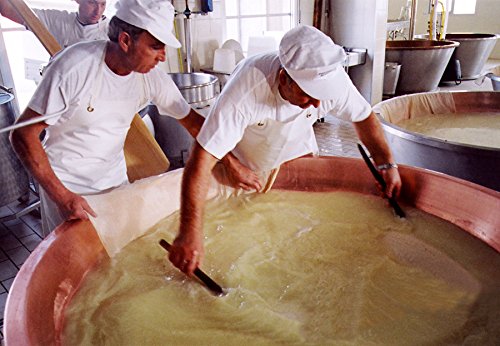 Parmigiano Reggiano DOP "Vacche Rosse" 40 Monate 1 Stücke - insgesamt kg.1. Direkt von den Consorzio Vacche Rosse produziert (Roter Aufkleber) – Bild 5