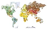 Janod Magneti'Stick Wall Décor World Map