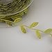 Fowod Leaf Ribbon, 17 Yard / 50 Feet Roll, 1 inch Width, Green