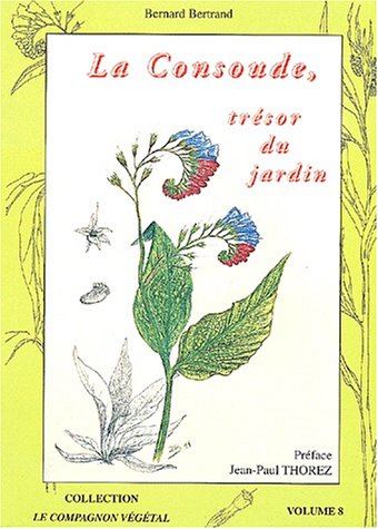 La  consoude, trésor du jardin