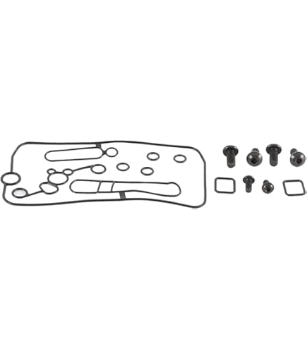 Amazon.com: All Balls Racing 26-1717 Carburetor Rebuild Kit