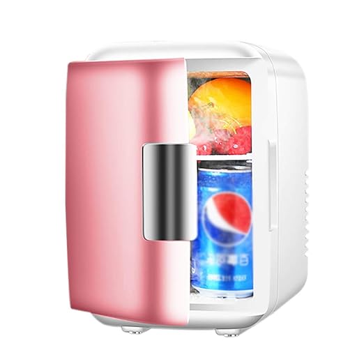 MY1MEY Mini refrigerador para automóvil de 4 litros, Caja de ...