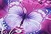 15-15.6 Inch Laptop Sleeve Case Handle Bag Neoprene Cover, Butterfly