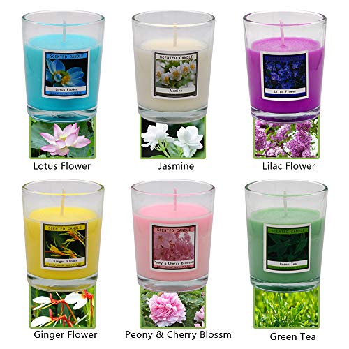 12 Packs Scented Aromatherapy Candle Set, 1.8 Oz Soy Votive Candle for