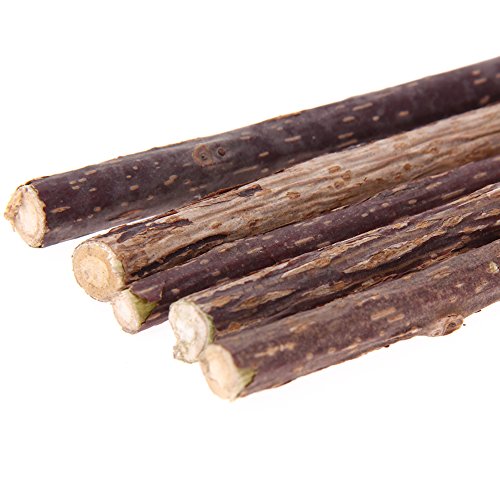 5Pcs Pure Natural Catnip Pet Cat Molar Toothpaste Stick Cat Cleaning Teeth Pet Cat Molar Toothpaste Stick Cat Snacks Sticks - Thumbnail 3