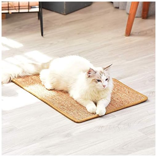 Liyahog Cat Scratcher Mat, Natural Sisal Scratching Pad, AntiSlip Cat