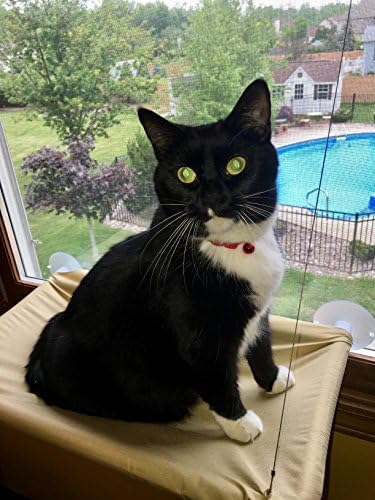 Window Mounted Cat Bed Pet Bed Sunny Seat Cat Bed Cat Perch by PETBON