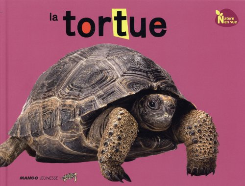La  tortue