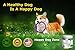 Pet Probiotics – Gas Relief For Dogs - Aids Dog Diarrhea, Upset Stomach, Bad Breath, Allergy, Itching – Best Easy Use Probiotic For Dogs - All Natural - Made in USA - 100% Guarantee