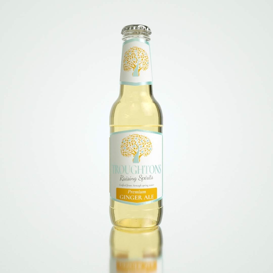Troughtons Premium Ginger Ale 24 x 200ml | 4.8 litres | No Artificial Flavours, Colors or Preservatives | Great Accompaniment to Whiskey, Rum, Dark Rum, White Rum or Alcohol Free Gin
