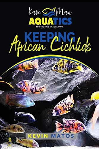 Cichlid Care Guide: Aquarium Setup, Feeding, Breeding, and Health