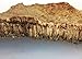 Virgin Cork Bark Flat - Medium