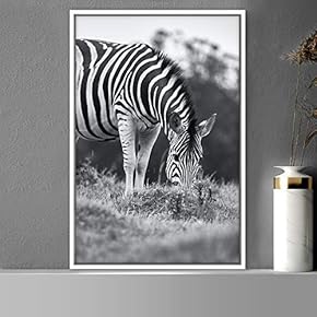 signwin Framed Canvas Wall Art Duotone Zebra Animals...