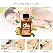 Dragon Honor 2019 New Plant Lymphatic Drainage Ginger Essential Oils