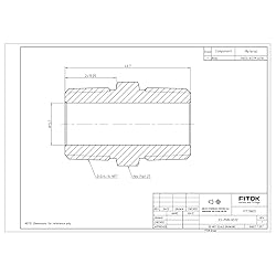 FITOK 316 Stainless Steel Pipe Fitting Hex Nipple