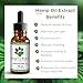 Natural Organic Hemp Oil for Dogs: Full Spectrum 250 mg Hemp Seed Extract with Coconut Oil - Anti Stress & Anxiety - Hip & Joint Pain Relief - Unflavored Formula for Any Size Dog - 1 fl. oz. Bottle