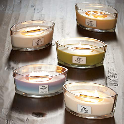 Woodwick Ellipse Scented Candle with Crackling Wick, White Tea and