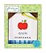 C.R. Gibson English and Spanish Flash Cards for Kids, Set of 26
