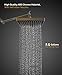 Drisen Products 8 inch Rain Shower Head Rain Style Chrome Finish with Solid Brass Adjustable Extension Arm