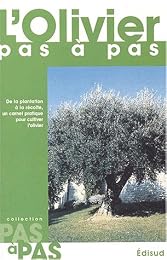 L' olivier, pas à pas