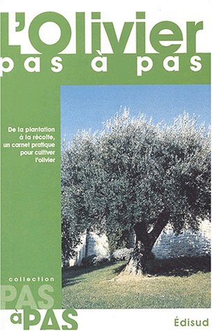 L' olivier, pas à pas