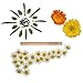 VitaStik The Worlds ONLY INHALABLE Aphrodisiac | Organic Exotic Cooling Coconut with Damiana & Horney Goat Weed | Vitamin Enhanced Essential Oil Diffuser Stick (1)